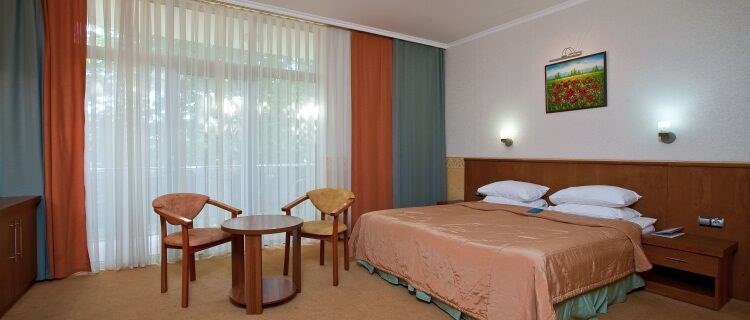 Primore (Gelendzhik) SPA-Hotel: Стандартный 2-местный 1 категории (3*)