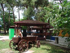 Solnechnaya (Gelendzhik) Lechebno ozdorovitelnyj kompleks: Территория - photo 16