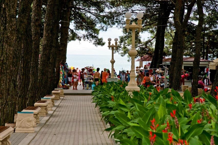 Solnechnaya (Gelendzhik) Lechebno ozdorovitelnyj kompleks: Территория