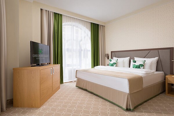 Green Resort HOTEL&SPA : Стандартный 1-комнатный 2-местный