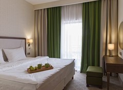 Green Resort HOTEL&SPA : Люкс 2-комнатный люкс Люкс 2-комнатный - photo 47