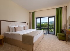 Green Resort HOTEL&SPA : Люкс 2-комнатный люкс Люкс 2-комнатный - photo 45