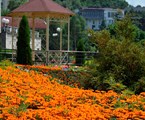 Krugozor Sanatorium: Территория