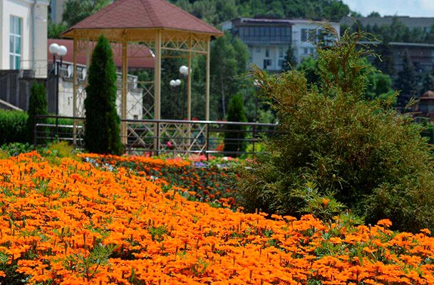 Krugozor Sanatorium: Территория