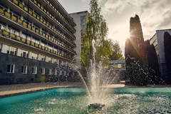 Rodnik Sanatorium: Территория - photo 5