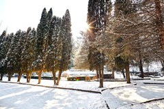 Rodnik Sanatorium: Территория - photo 10