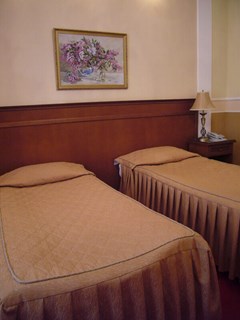 Grand Otel: Стандарт 2-местный - photo 19