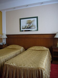 Grand Otel: Стандарт 2-местный - photo 21