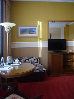 Grand Otel: Стандарт 2-местный - photo 22