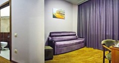 Spa Hotel Kolizej: Люкс 2-комнатный (34 м.кв.) Полулюкс - photo 31