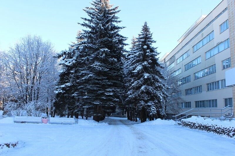 Ukraina (Essentuki) Sanatorij: Территория