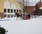 Ognikovo Park-otel`: Территория