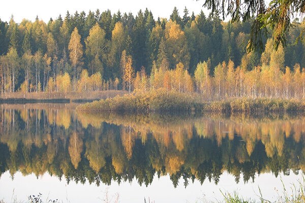 Ognikovo Park-otel`: Территория