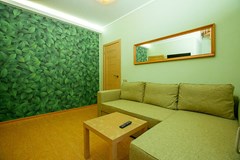 Bogorodsk Otel`: Полулюкс 2-местный 1-комнатный Полулюкс 2-местный 1-комнантный - photo 62