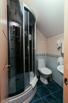 Bogorodsk Otel`: Стандарт 2-местный 1-комнатный С\у - photo 70