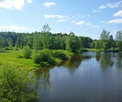 Izumrud Lechebno ozdorovitel`ny`j kompleks: Территория - photo 4