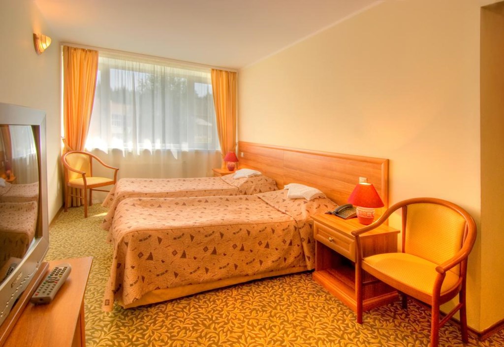 Gorizont Pakr-otel` Park-otel`: Стандартный 2 местный  корпус №2,3,4