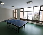Voronovo Sanatorij: Настольный теннис