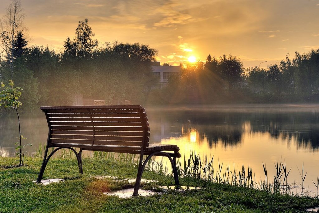 Tropikana Park Zagorodny`j kompleks: Территория