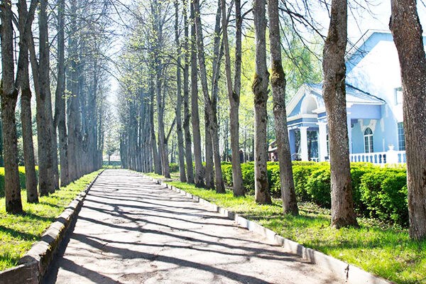 Abramcevo park-otel` Park-otel`: Территория