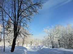 Zagorskie dali Sanatorij: Территория - photo 19