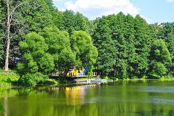 Vozdvizhenskoe Park-otel`: Вид с летнего кафе на пруды