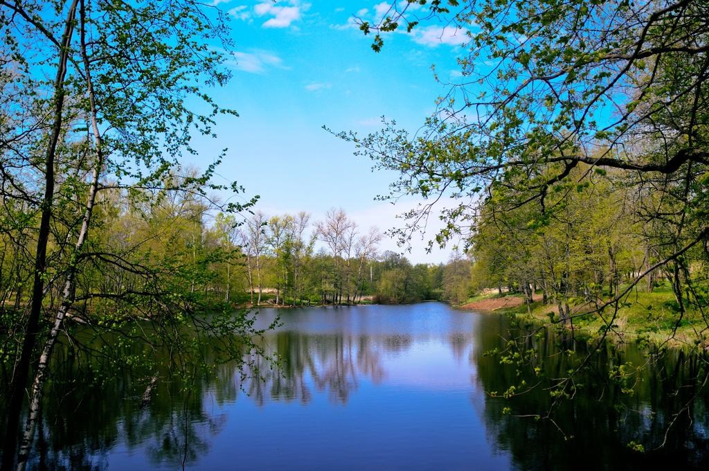 Vozdvizhenskoe Park-otel`: Наши пруды