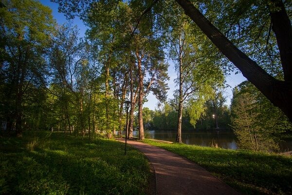 Vozdvizhenskoe Park-otel`: Территория