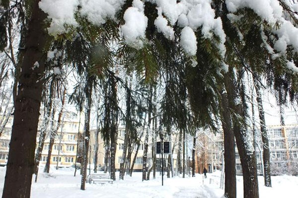 Vozdvizhenskoe Park-otel`: Территория