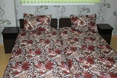 Razin Otel`: Стандарт 2-местный 1-комнатный - photo 8