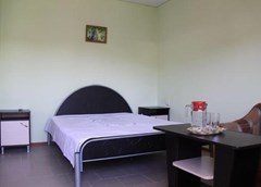 Ruzana  Otel`: Люкс 3-местный - photo 27