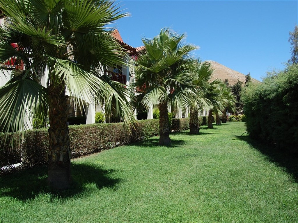 Tiana  Beach: General view