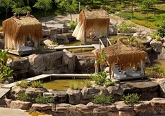 Sianji Wellbeing Resort: General view - photo 26