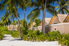 Kudafushi Resort & Spa: Room - photo 22