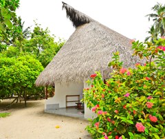 Fihalhohi Island Resort: Room - photo 7