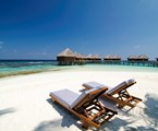 Mirihi Island Resort: Beach
