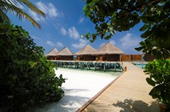 Mirihi Island Resort: Room - photo 24
