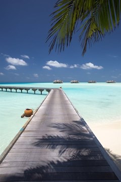 Gili Lankanfushi Maldives - photo 40