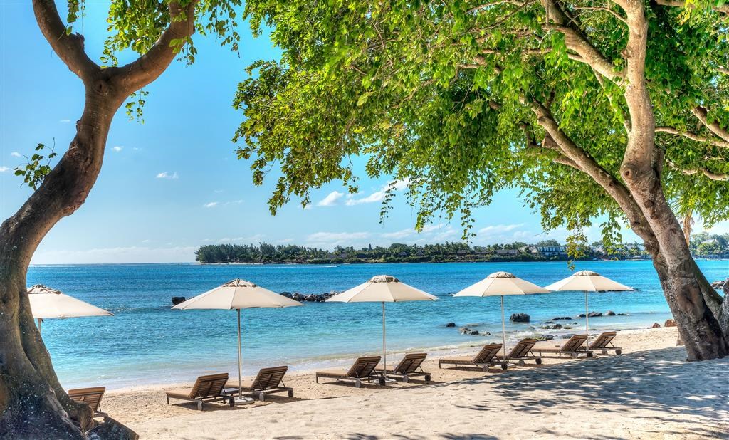 The Westin Turtle Bay Resort & Spa: General view