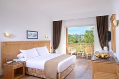 Pickalbatros Beach Albatros Resort: Room DOUBLE PROMO - photo 46