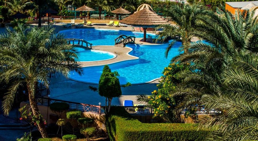 Seagull Beach Resort: Pool