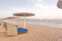 Barcelo Tiran Sharm Resort: Beach - photo 17