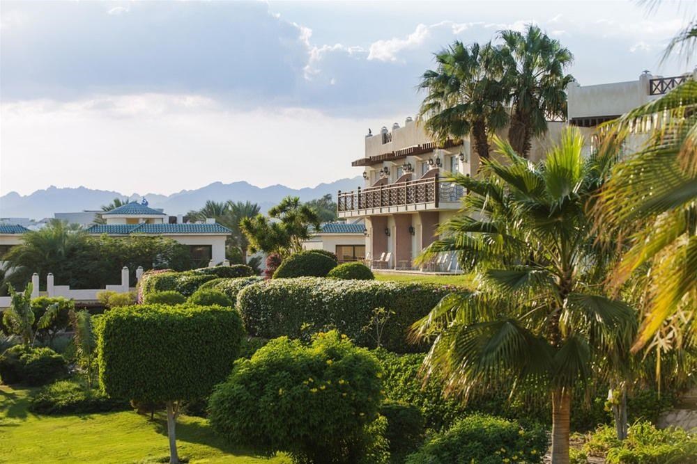 Concorde El Salam Sharm El Sheikh: General view