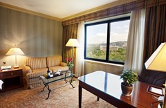 Intercontinental Almaty: Room - photo 43