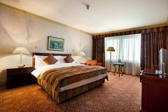 Intercontinental Almaty: Room - photo 58