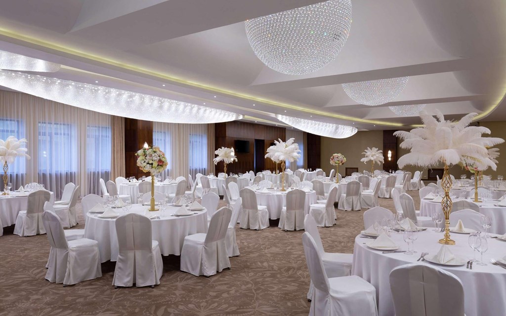 DoubleTree by Hilton Almaty: Conferences