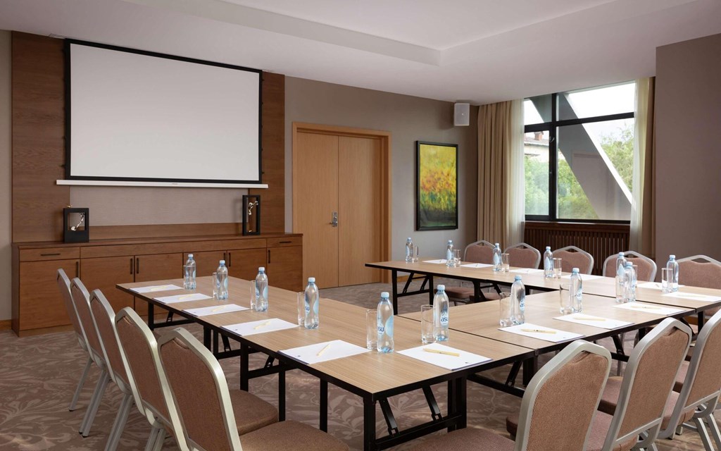 DoubleTree by Hilton Almaty: Conferences