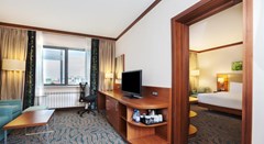 Hilton Garden Inn Astana: Room SUITE EXECUTIVE - photo 20