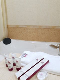 King Hotel Astana: Room DOUBLE STANDARD - photo 44