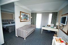 Kazzhol Hotel Astana: Room SINGLE LUXURY - photo 28